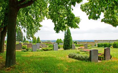 Friedhof